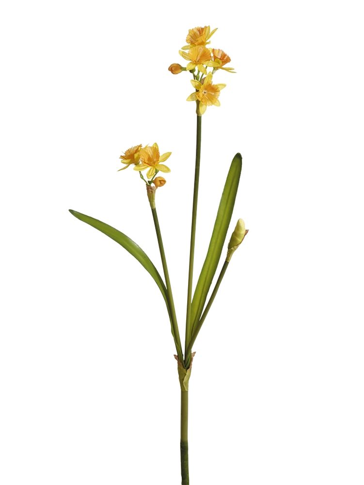Цветок декоративный Fiebiger Floristik: Нарцисс, 203710-200 Цветок декоративный Fiebiger Floristik: Нарцисс, 203710-200