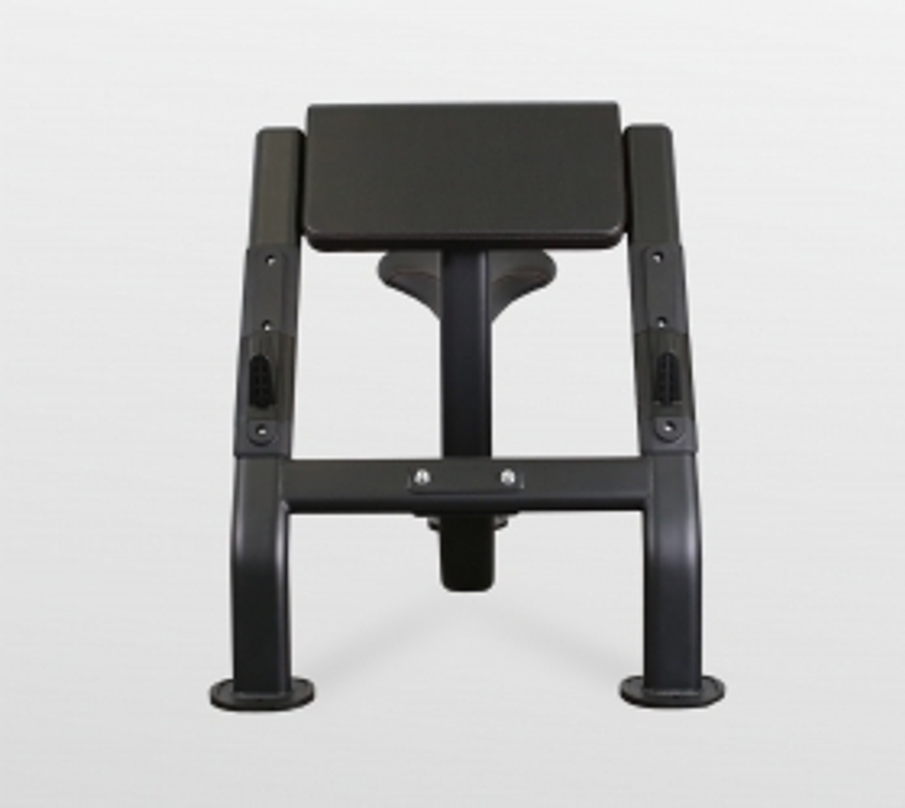 Скамья Скотта Bronze Gym BR-1007