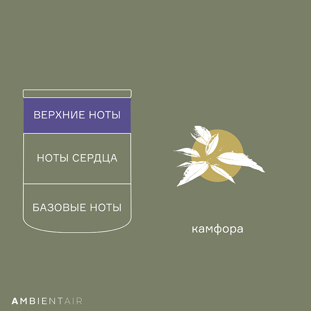 Свеча ароматическая Ambientair Enchanted Forest Eль 40ч