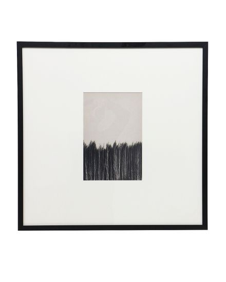 Интерьерный постер “Forest”