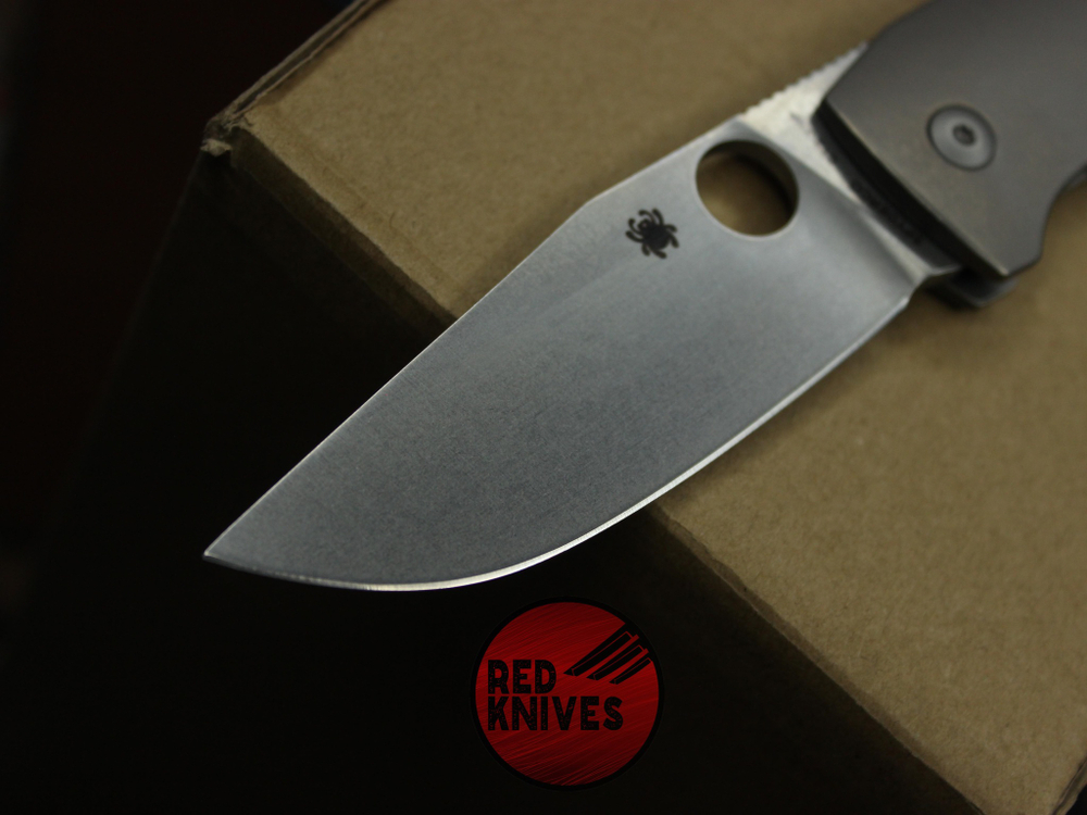 Нож Spyderco Slysz Bowie С186TIP
