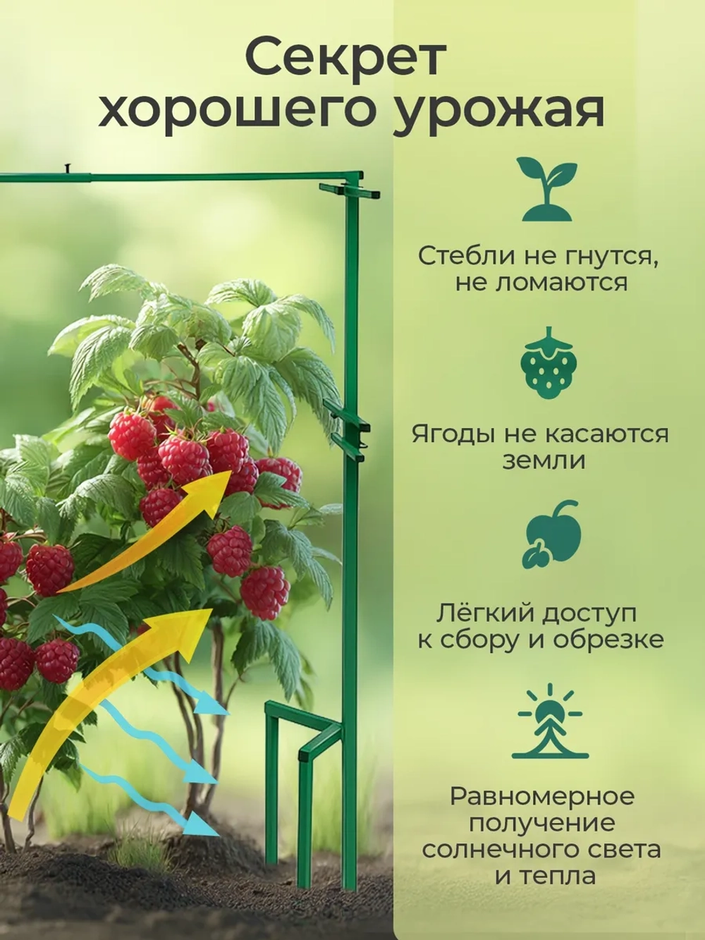 Шпалера садовая для малины и винограда