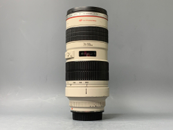 Canon EF 70-200mm f/2.8L USM с дефектом