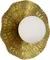 Настенный светильник Lorea SLE1196-301-01 Evoluce