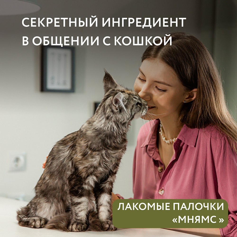 Лакомство для кошек Мнямс лакомые палочки из цыпленка и утки 3х5 г