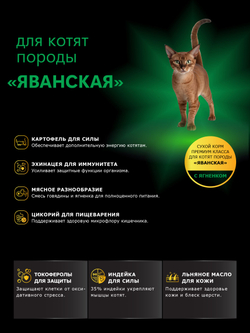 Корм сухой для котят породы Яванская, с ягненком, 2кг, QUATTRO