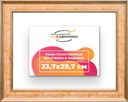 Рама 23,7x29,7 для картин и фотографий
