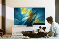 Телевизор OLED Samsung 77" QE77S95FAUXRU Series 9 черный графит/черный 4K Ultra HD 120Hz DVB-T2 DVB-C DVB-S2 USB WiFi Smart TV