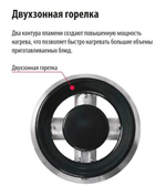 Плита газовая GEFEST ПГЭ 6502-03 0245 (кор.с раст рис)