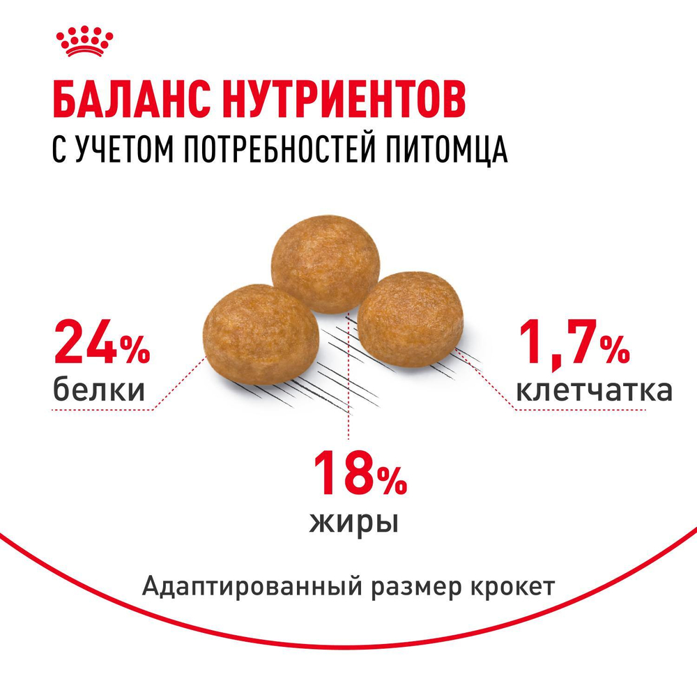 Royal Canin X-Small Adult Икс-Смол Эдалт Корм сухой для взрослых собак миниатюрных пород от 10 месяцев 3кг
