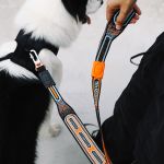 Удлиненная водилка Nit CHRON 100 см Zee.Dog