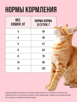 Сухой корм Bowl Wow для кошек, с индейкой, курицей и яблоком - 1,5 кг