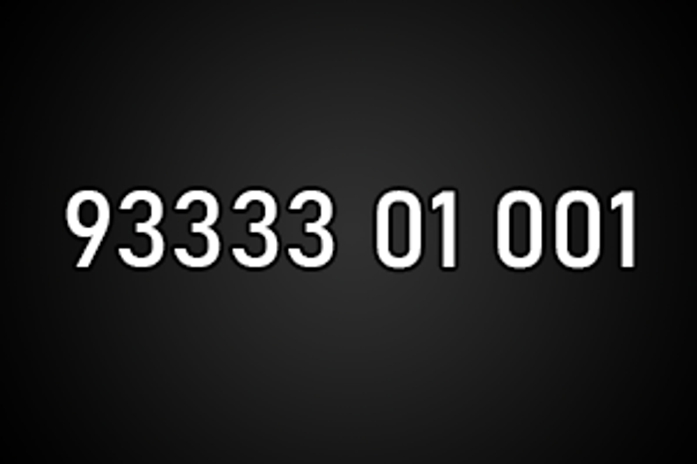 9333301001