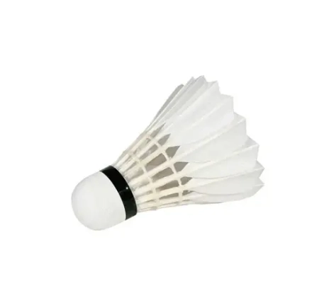 Воланы для бадминтона Victor Master Ace 12P