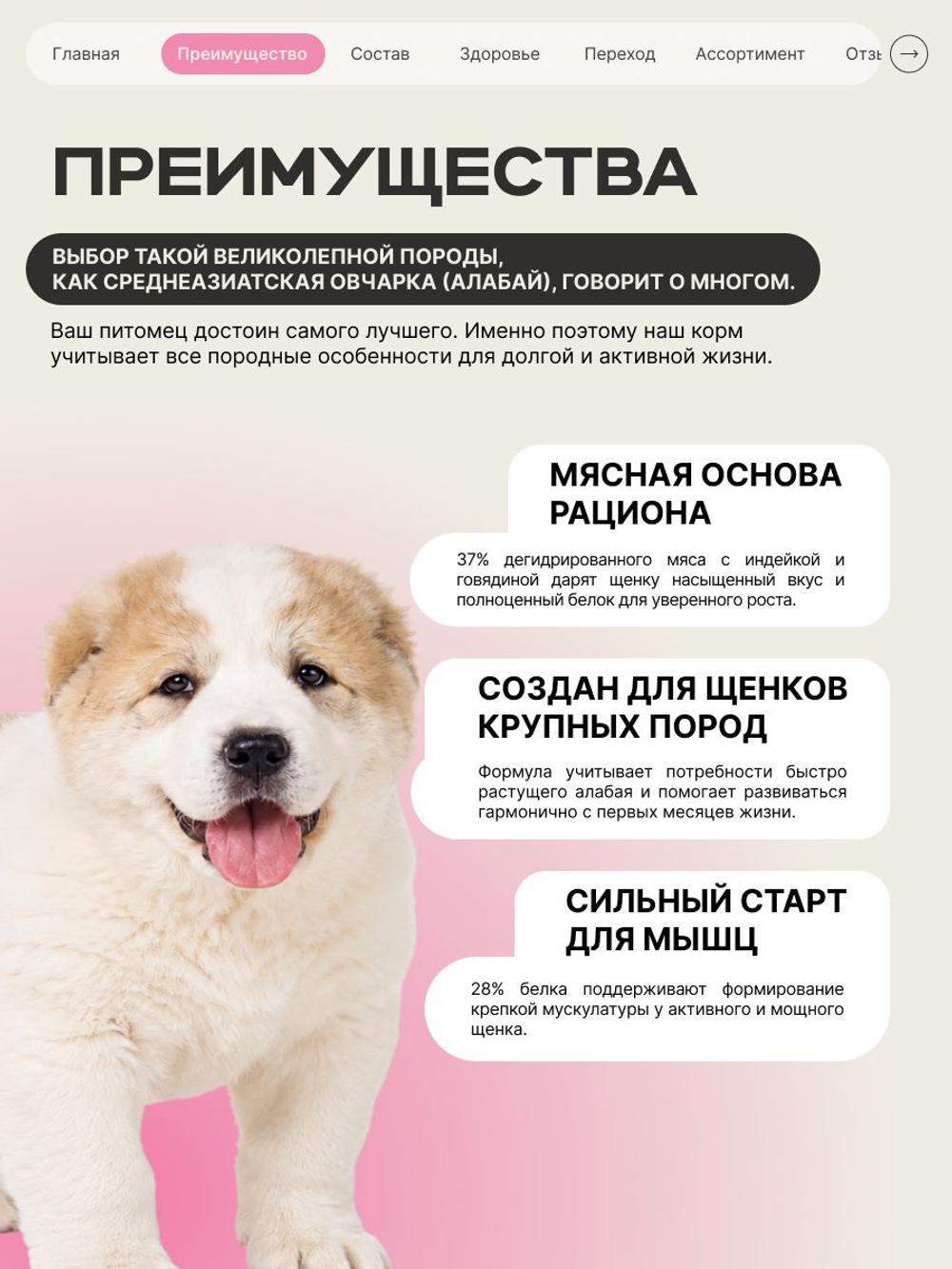 Корм сухой для щенков породы Среднеазиатская овчарка (Алабай), с говядиной, 12 кг, QUATTRO