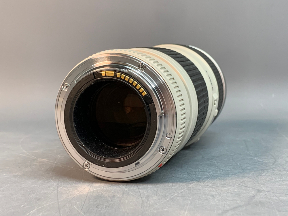 Canon EF 70-200mm 4L USM