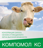 Снимок_экрана_2026-03-01_155531