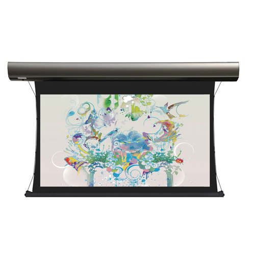 Моторизированный экран Lumien Cinema Tensioned Control 219x374 см Matte White [LCTC-100114]