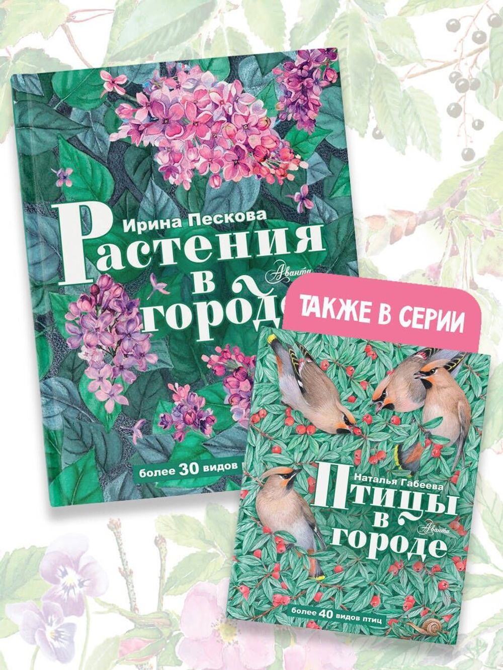 Растения в городе
