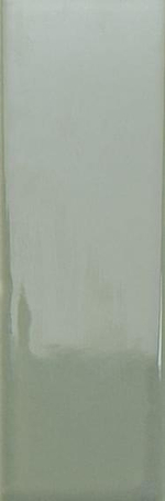 Wow Bits Kale Gloss 3.7x11.6