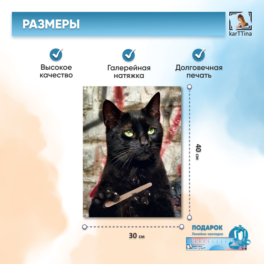 Картина karTTina "Котенок из водички" 30х40 см