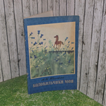 Книга "Колокольчики мои"