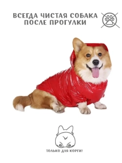 Дождевик для собак Корги комбинезон