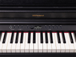 Roland RP-701