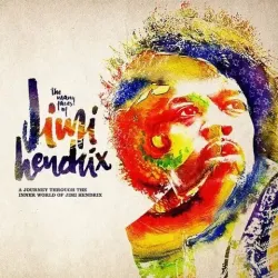 Виниловая пластинка VA — The Many Faces Of Jimi Hendrix (2 Colored LP)