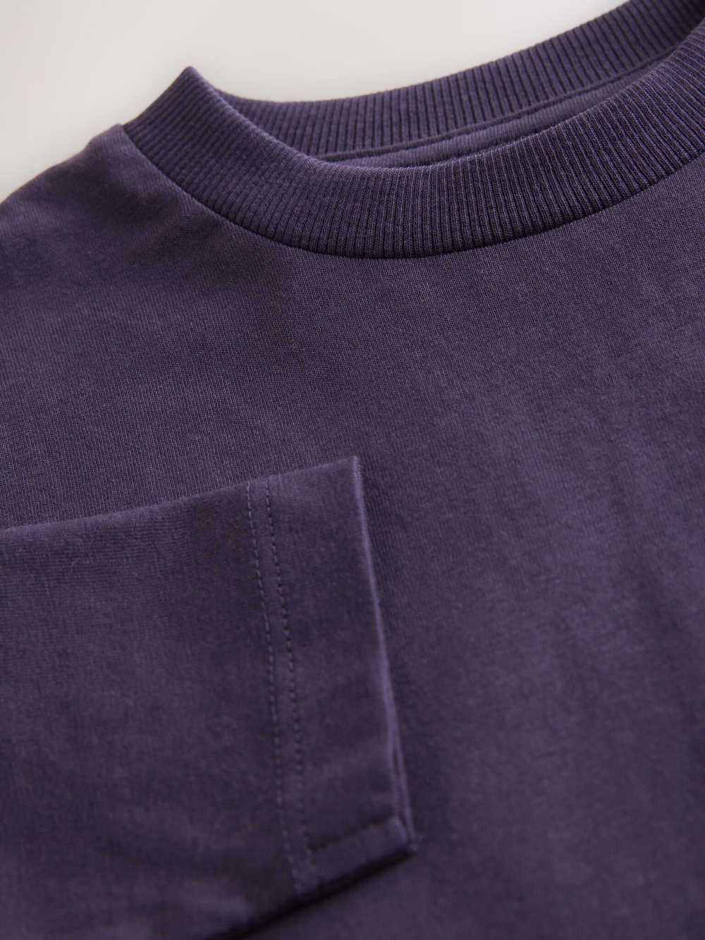 Лонгслив для мальчика Next AW1-694, Фиолетовый