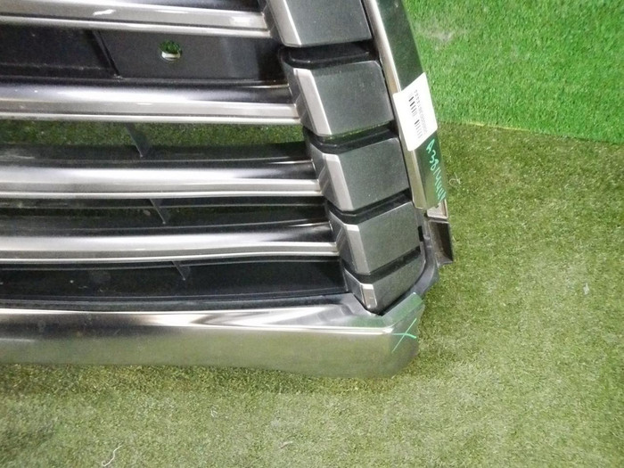 DSCN2667.jpg
