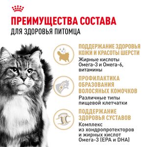 Сухой корм Royal Canin Siberian для взрослых кошек породы Сибирская от 12 месяцев