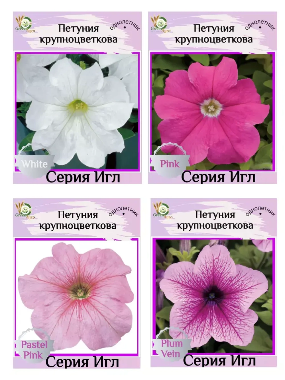 Семена Петуния Крупноцветковая