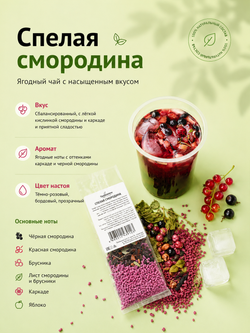 Набор авторского чая Tasteabrew "ICE" (25 порций чая + система заваривания в подарок)