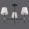 Потолочная люстра  IL0185-3CSQ-24 BK AB CASTOR ILLUMICO