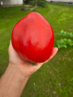 Гигантский меч (Spadone Gigante)