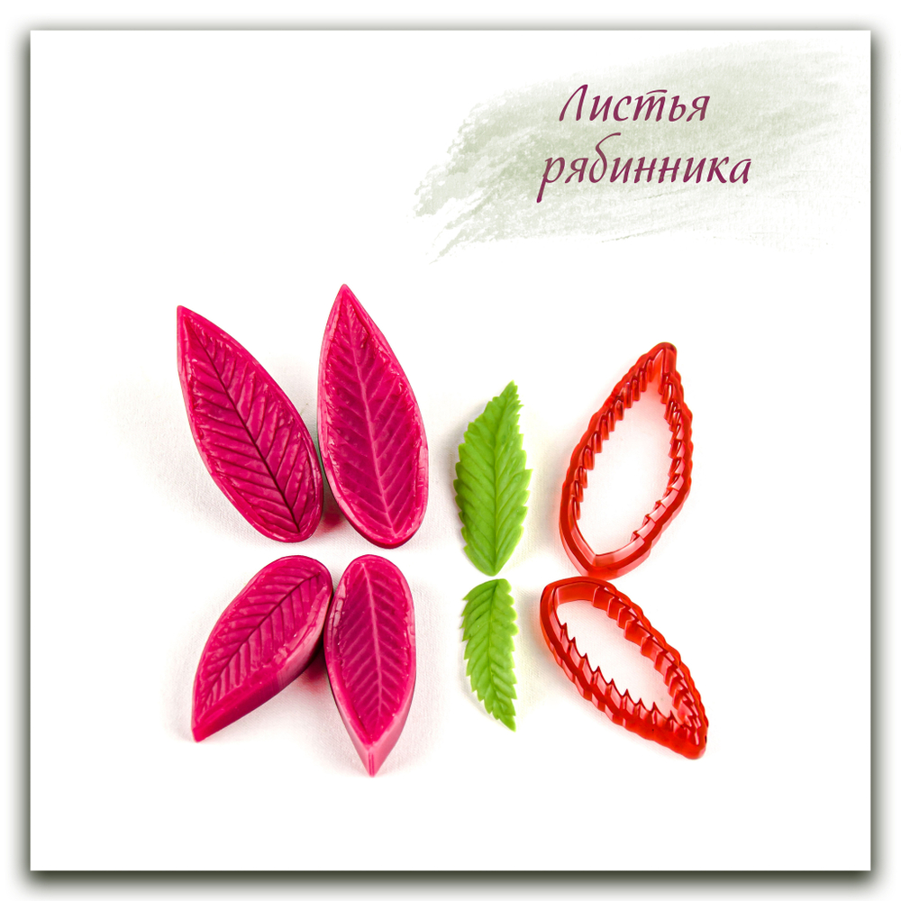 Листья рябинника