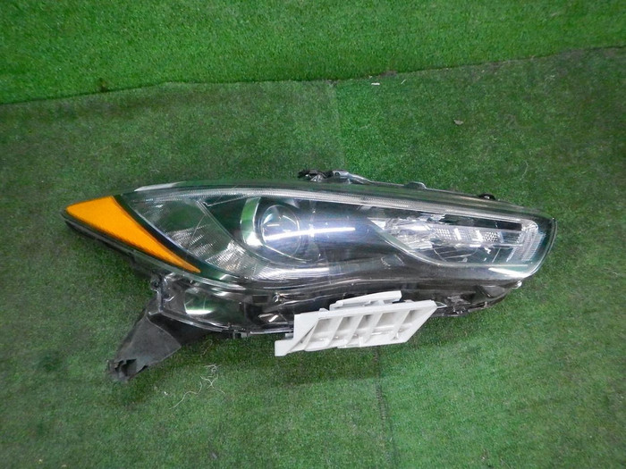 DSCN7306.JPG
