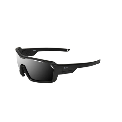 Спортивные очки OCEAN Chameleon Black / Grey Polarized lenses