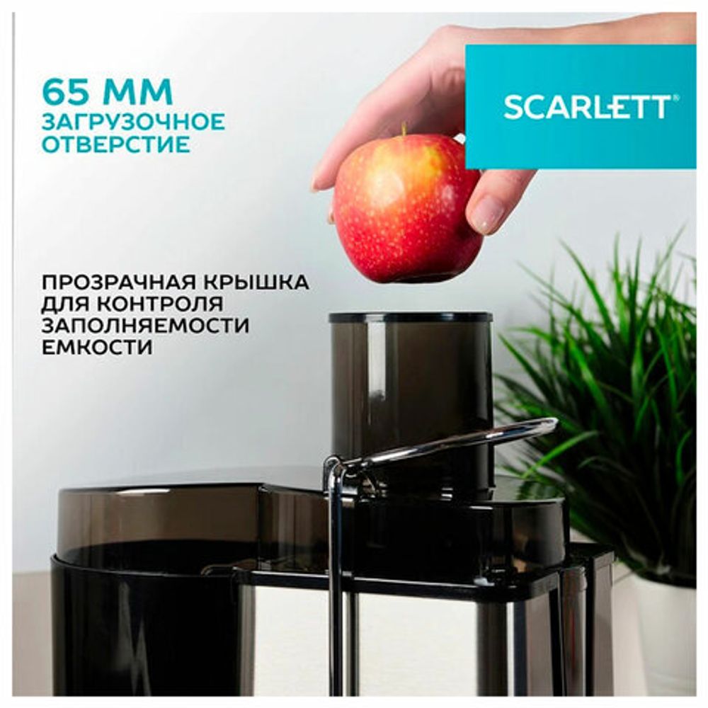 Соковыжималка SCARLETT SC-JE50S53, 1000 Вт, стакан 0,6 л, емкость жмыха 1 л, пластик, сталь/черный