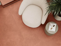 RTN6 CARMI12 RM