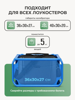 Чемодан L с кейсом в комплекте Черный