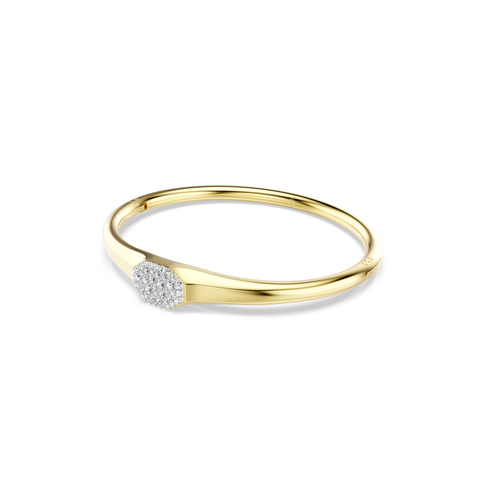 DEXTERA:BANGLE TAG CRE/GOS S