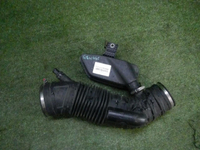 DSCN7079.JPG