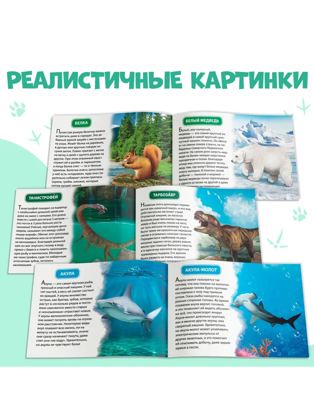Книги для малышей Развивашки
