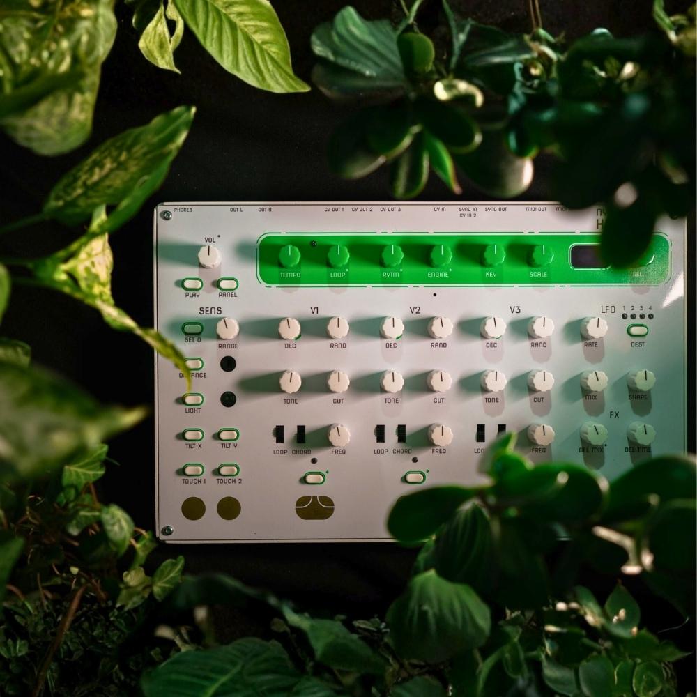Nystrom HUM 2