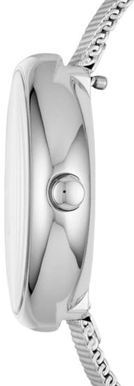 Женские часы Skagen SKW2596