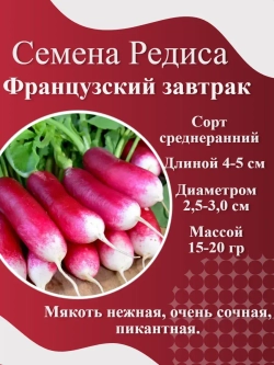 Семена Редиса