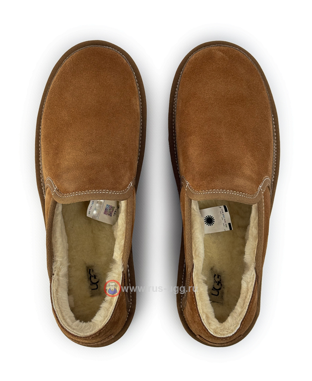 MEN'S HAYDEN SLIPON - Chestnut